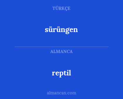 reptil - sürüngen