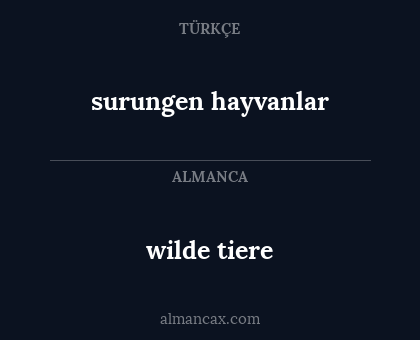 wilde tiere - surungen hayvanlar