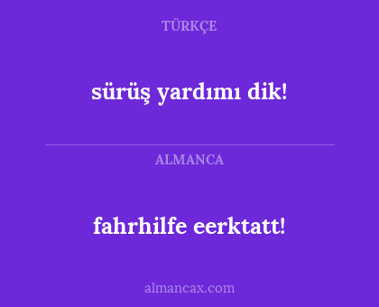 sürüş yardımı dik! - fahrhilfe eerktatt!