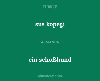 ein schoßhund - sus kopegi