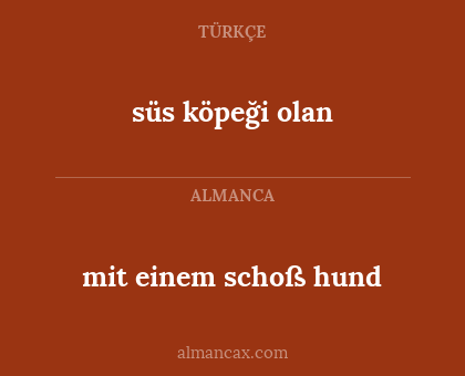 süs köpeği olan - mit einem schoß hund