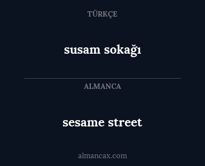 sesame street - susam sokağı