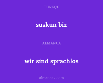 wir sind sprachlos - suskun biz