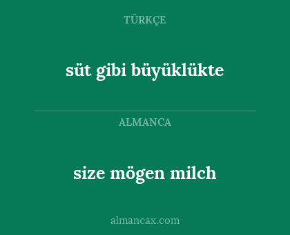 size mögen milch - süt gibi büyüklükte