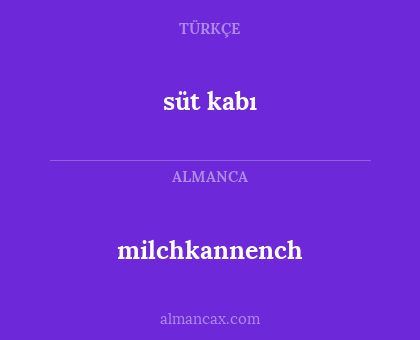 süt kabı - milchkannench
