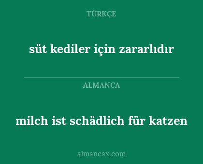 milch ist schädlich für katzen - süt kediler için zararlıdır