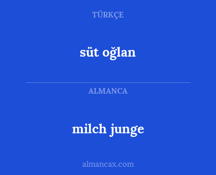 milch junge - süt oğlan