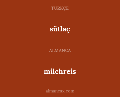 milchreis - sütlaç