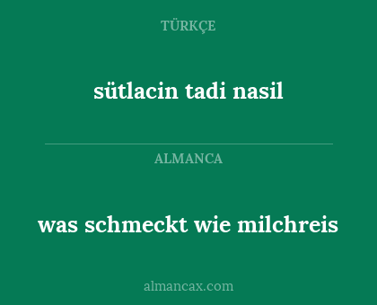 sütlacin tadi nasil - was schmeckt wie milchreis