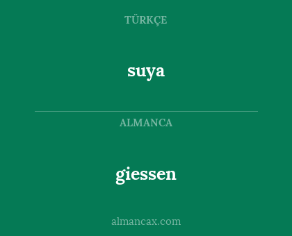 giessen - suya