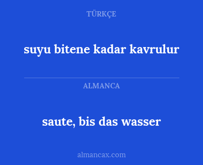 suyu bitene kadar kavrulur - saute, bis das wasser