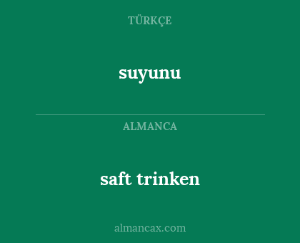 saft trinken - suyunu