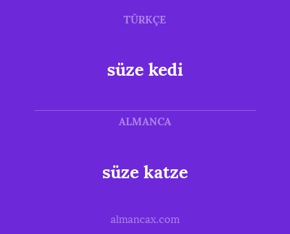 süze katze - süze kedi