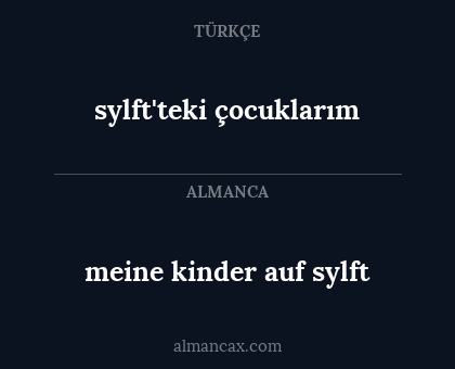 meine kinder auf sylft - sylft'teki çocuklarım