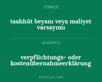 verpflichtungs- oder kostenübernahmeerklärung - taahhüt beyanı veya maliyet varsayımı