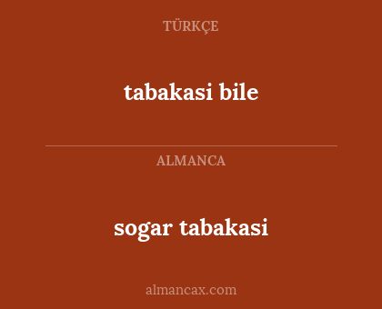 tabakasi bile - sogar tabakasi