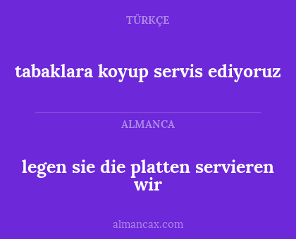 legen sie die platten servieren wir - tabaklara koyup servis ediyoruz