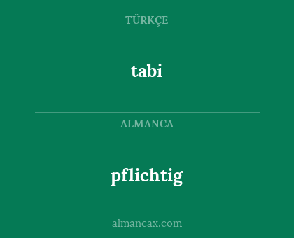 tabi - pflichtig
