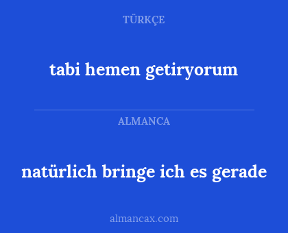 tabi hemen getiryorum - natürlich bringe ich es gerade