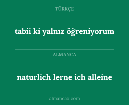 tabii ki yalnız öğreniyorum - naturlich lerne ich alleine