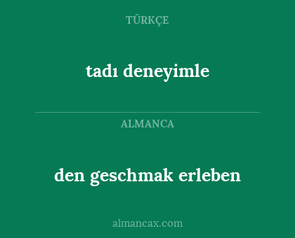 den geschmak erleben - tadı deneyimle