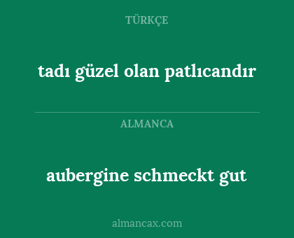 tadı güzel olan patlıcandır - aubergine schmeckt gut