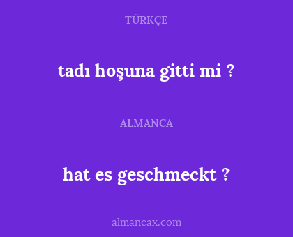 hat es geschmeckt ? - tadı hoşuna gitti mi ?
