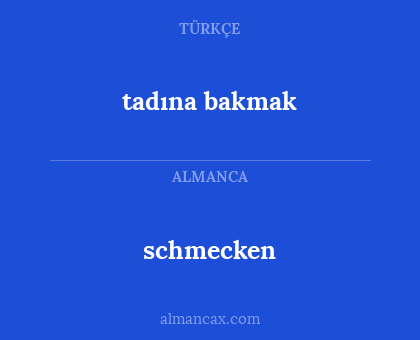 schmecken - tadına bakmak