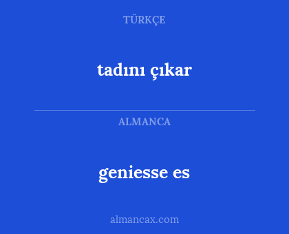 tadını çıkar - geniesse es