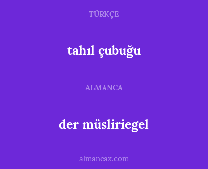 tahıl çubuğu - der müsliriegel