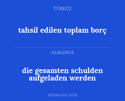 tahsil edilen toplam borç - die gesamten schulden aufgeladen werden