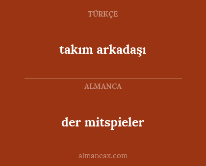 der mitspieler - takım arkadaşı
