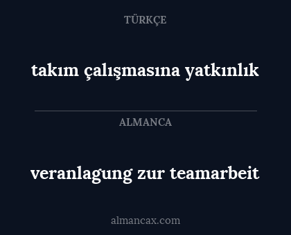 veranlagung zur teamarbeit - takım çalışmasına yatkınlık