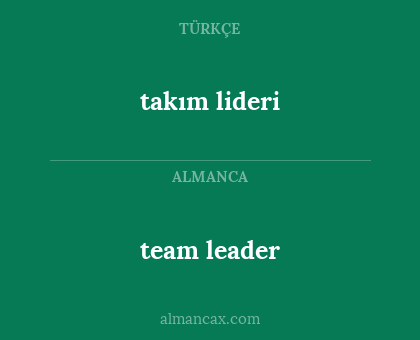 team leader - takım lideri