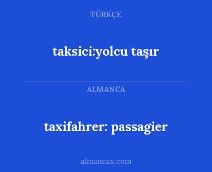 taxifahrer: passagier - taksici:yolcu taşır
