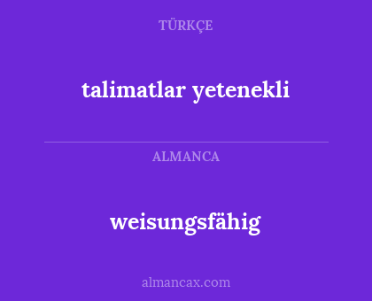 weisungsfähig - talimatlar yetenekli
