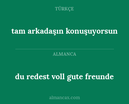 tam arkadaşın konuşuyorsun - du redest voll gute freunde