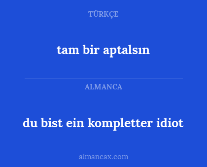tam bir aptalsın - du bist ein kompletter idiot