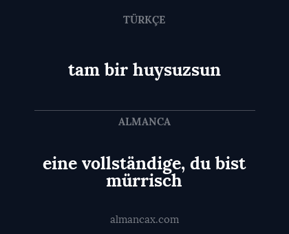 eine vollständige, du bist mürrisch - tam bir huysuzsun