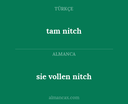 tam nitch - sie vollen nitch