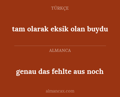 genau das fehlte aus noch - tam olarak eksik olan buydu