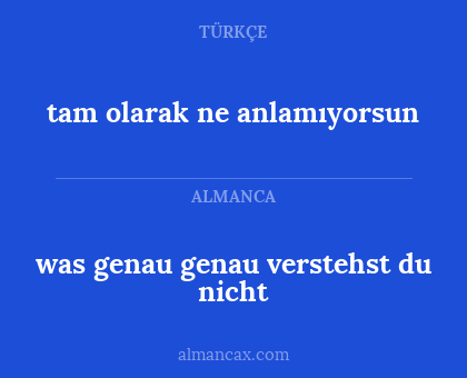 tam olarak ne anlamıyorsun - was genau genau verstehst du nicht