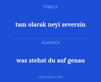 tam olarak neyi seversin - was stehst du auf genau