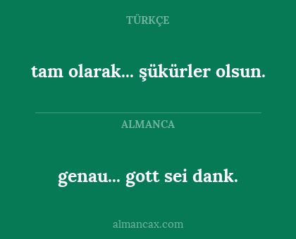 genau... gott sei dank. - tam olarak... şükürler olsun.