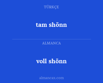 tam shönn - voll shönn