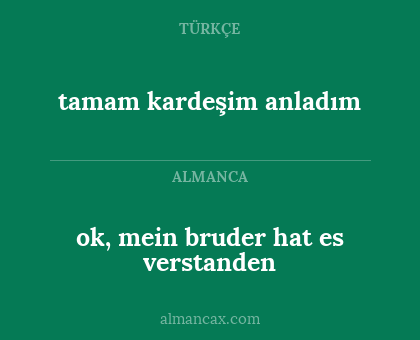 ok, mein bruder hat es verstanden - tamam kardeşim anladım