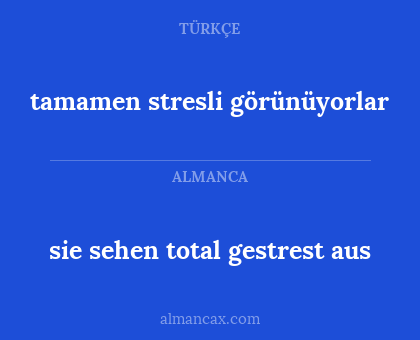 tamamen stresli görünüyorlar - sie sehen total gestrest aus