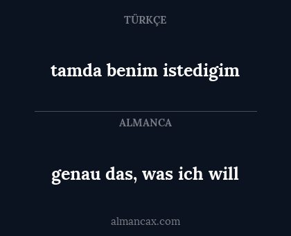 genau das, was ich will - tamda benim istedigim