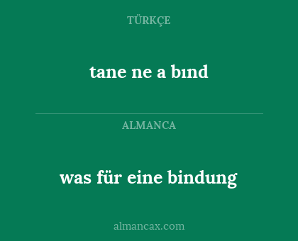 was für eine bindung - tane ne a bınd