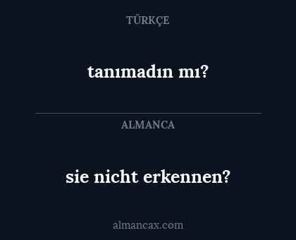 sie nicht erkennen? - tanımadın mı?